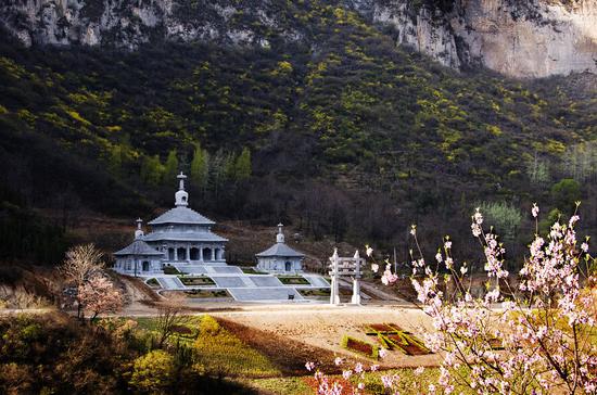 桃花朵朵开 慈云踏春来 青龙山慈云寺景区第六届桃花节本月举行