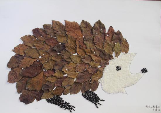 郑州澍青医专第八届中药标本制作大赛圆满落幕