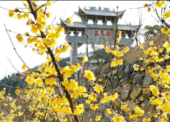 不负春光与美食 巩义长寿山景区恢复开放 多重门票优惠 不负春光与美食 巩义长寿山景区恢复开放 多重门票优惠