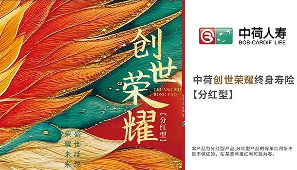 六大維度看中荷人壽