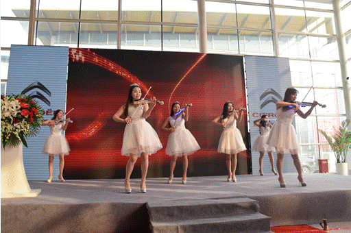 暖场小提琴演奏