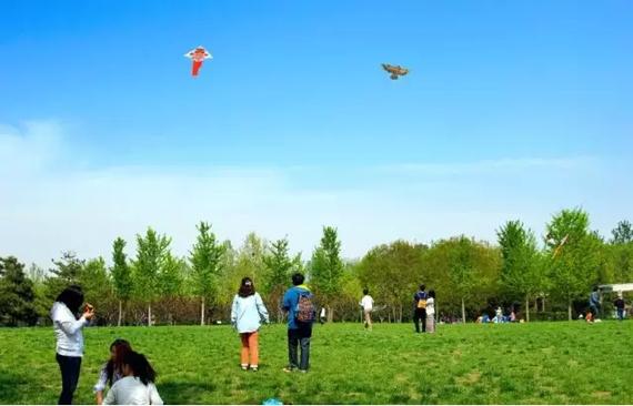 踏青出游,一线在手,看风筝乘风高升,随风翻飞,实在是一件快事