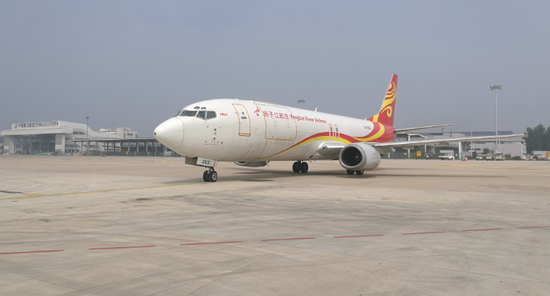 4只日本瓶鼻海豚远渡重洋空降新郑机场将在开封安家