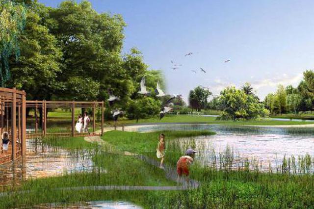 辉县市人大党组原副书记原全琴严重违纪被双开