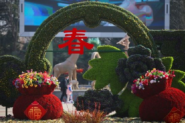 郑州街头春节“年味儿”超浓 各大公园“氛围组”来啦
