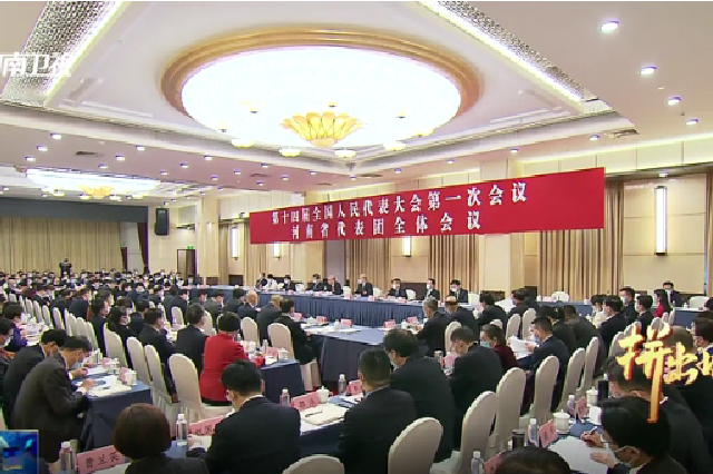 河南代表团举行全体会议审议政府工作报告 刘国中