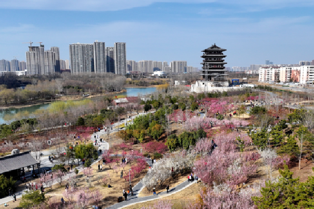 本周 郑州最高气温20℃＋