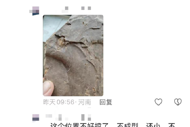 去新密挖化石“发家致富”？这样做可能违法！