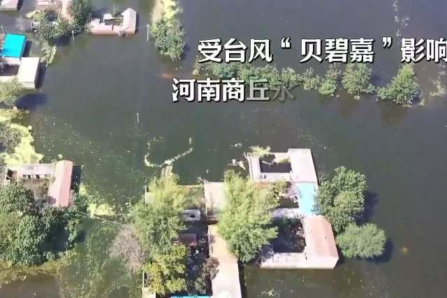 受災農田排水達10萬畝 臺風貝碧嘉對永城秋糧影響有多大？