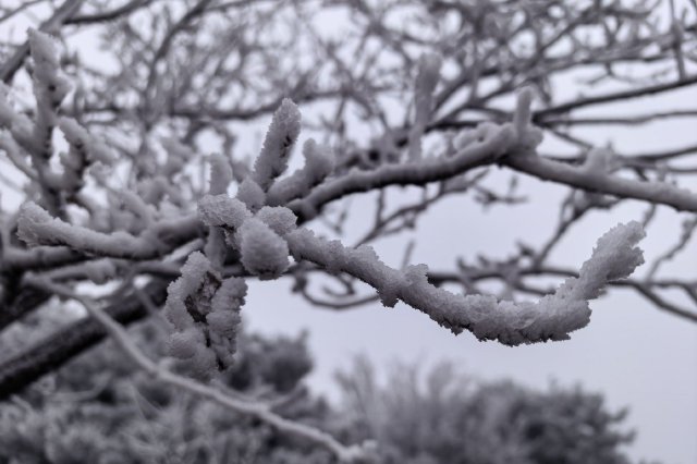 冻雨已现，暴雪将至 河南迎今冬最强雨雪冰冻天气