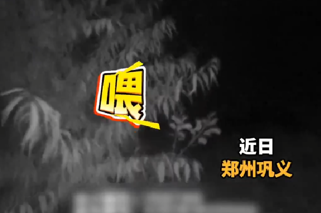 带娃夜爬“野线”被困深山 警方提示：登山游玩务必走成熟步道