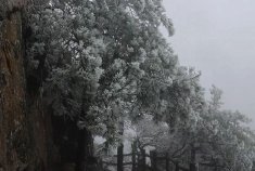 平顶山雾凇奇观宛如仙境
