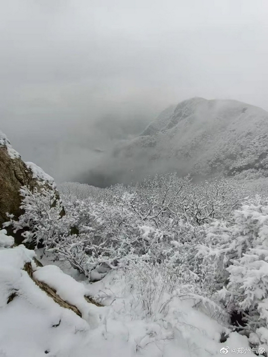 嵩山之巅的雪景(图)_城市_城事关注_新浪河南_新浪网