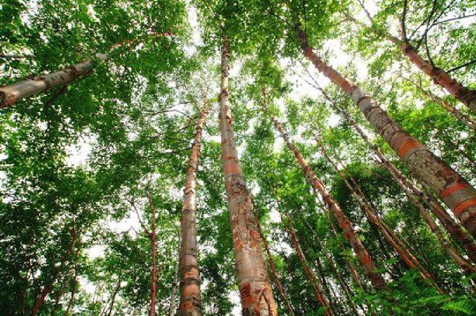 雙防CP 這波防火主打一個“靠譜”