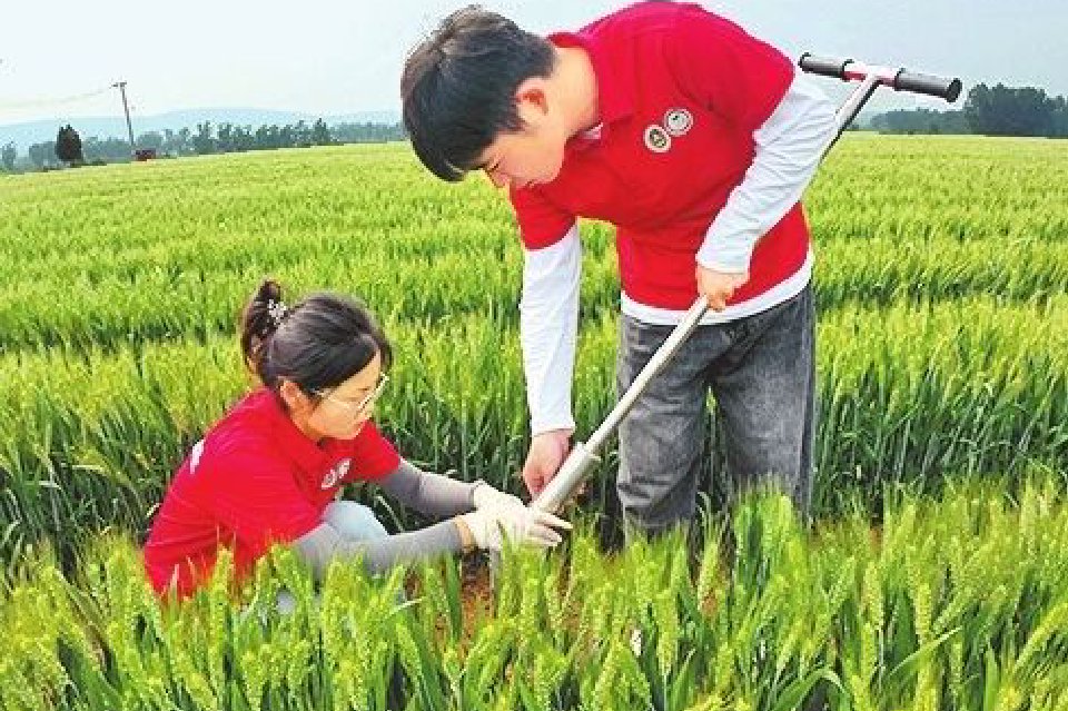 广阔天地，开启青春2.0版