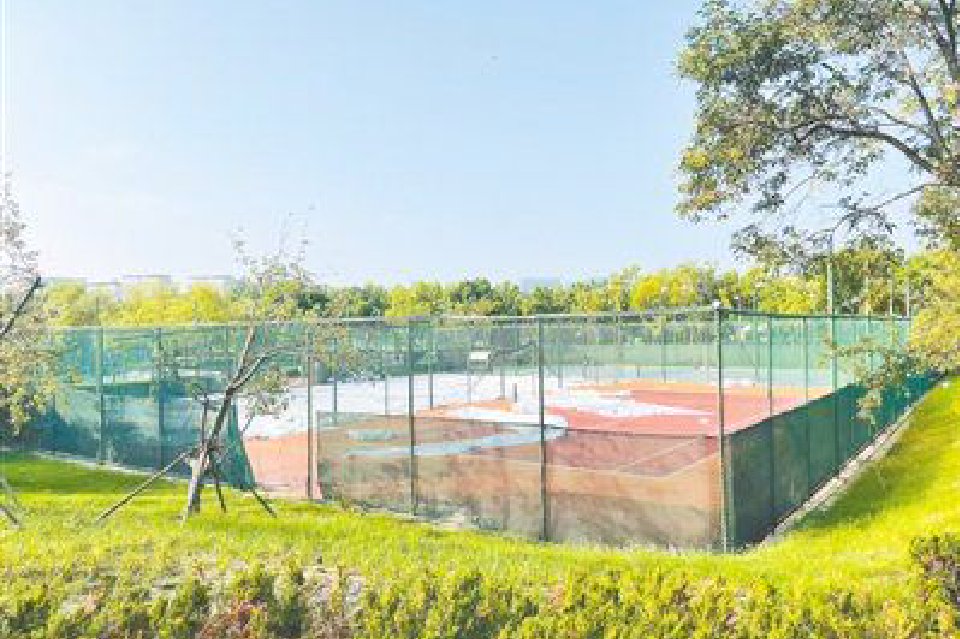 东运河公园违建大棚全部拆除