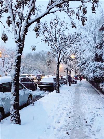 河南多地昨天白天已下雪 郑州人的朋友圈都在晒"别人家的雪"
