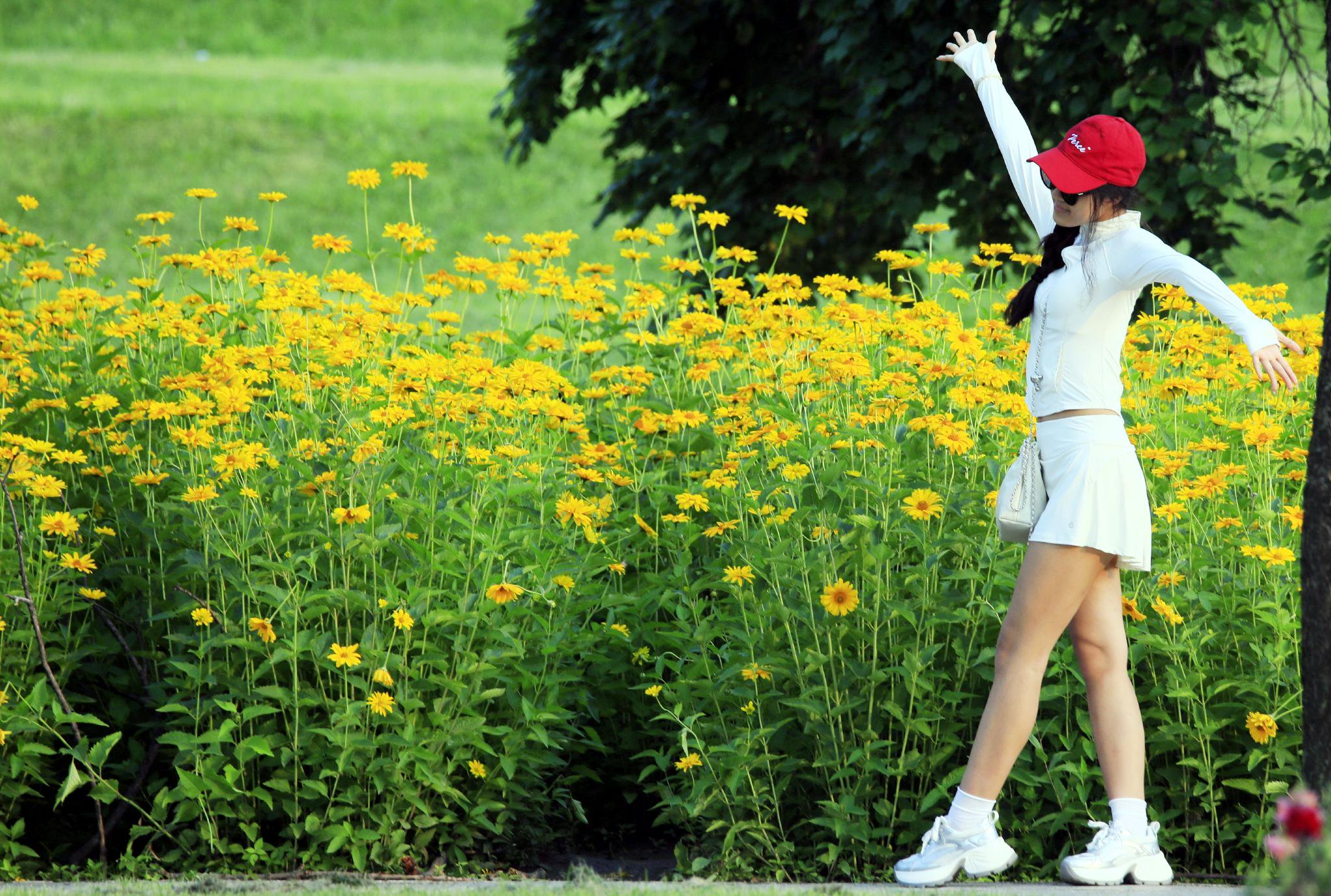 太阳岛上百花争艳时