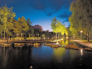 碧波蕩漾流光溢彩盡享冰城浪漫夏夜
