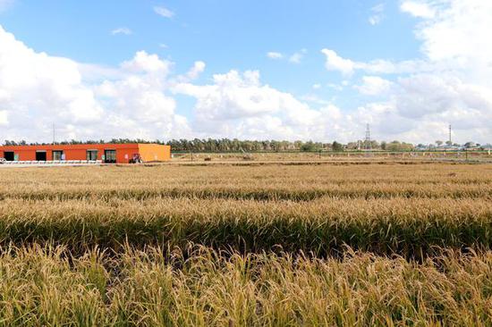 北安市东胜乡首届中国农民丰收节暨螃蟹节举行