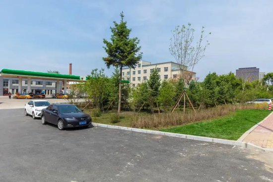 为提升辖区居民生活环境,道里区正阳河街道富力江湾社区还开展一系列