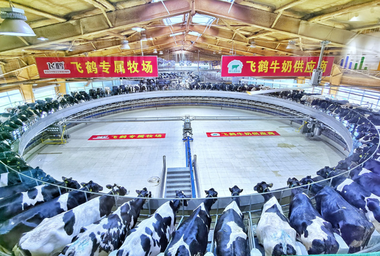 全网直播云溯源飞鹤透明工厂见证每罐奶粉的前世今生