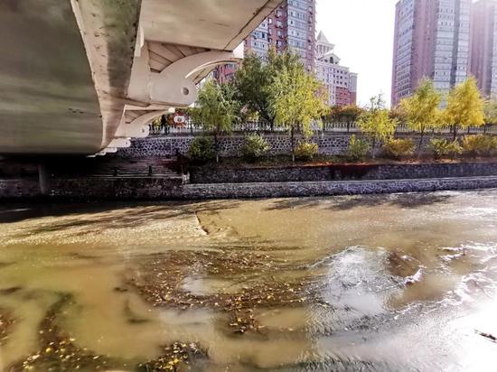 哈尔滨马家沟一河段流入不明污水 有关部门已展开调查
