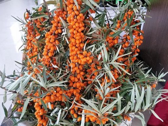 穆棱市委宣传部供图