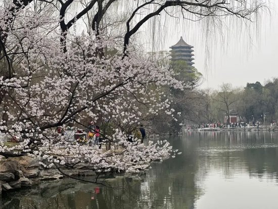 人才工作踏寻北大足迹厚植家国情怀