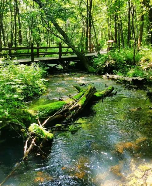 冰雪之外,龙江还有这些值得你来_新浪黑龙江_新浪网