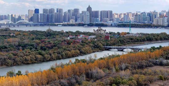 万顷松江湿地美成生态画廊_新浪黑龙江_新浪网