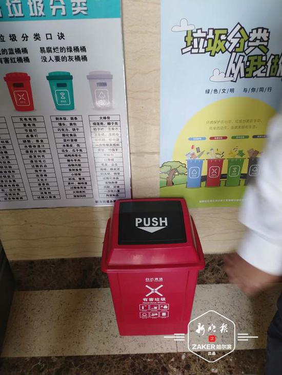 垃圾分类 哈尔滨市这两个指标均居全省第一_新浪黑龙江_新浪网