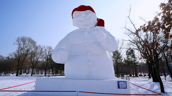 促进中加地方友好合作加拿大魁北克狂欢节博纳雪雕落成仪式在太阳岛雪