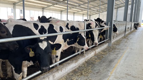 发力"产业思维 " 汤原招商"链"出新高度_新浪黑龙江_新浪网