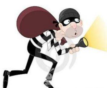 佳木斯"不差钱"男子偷盗上瘾顺走貂皮手机后随手扔