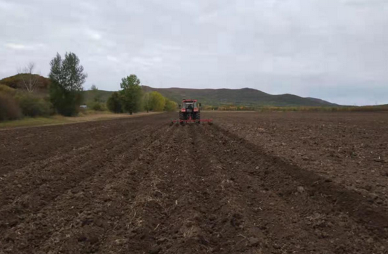 图为第七管理区进行秋起垄作业.