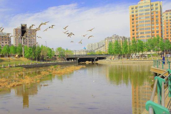 整治何家沟 年底下游消除黑臭水河段变"三无"