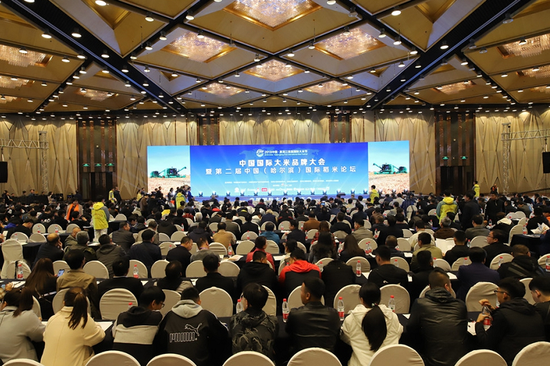 2018年中国·黑龙江首届国际大米节的大米节论坛现场