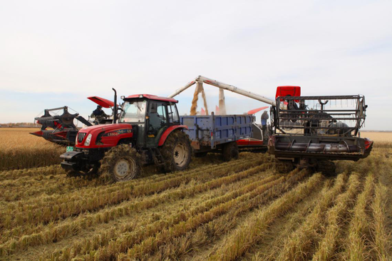 黑龙江省胜利农场开启秋收整地"加速度"_新浪黑龙江_新浪网