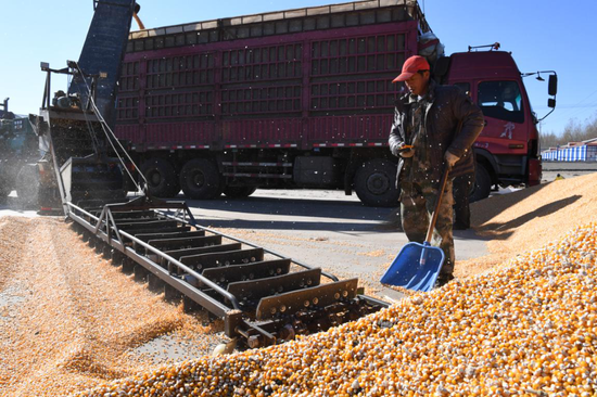 北大荒股份勤得利分公司发挥本地自销优势加快粮食销售