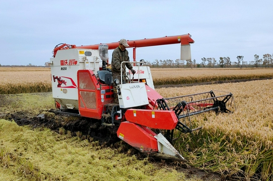 兴凯湖分公司农业机械巧改装应对内涝夺丰收