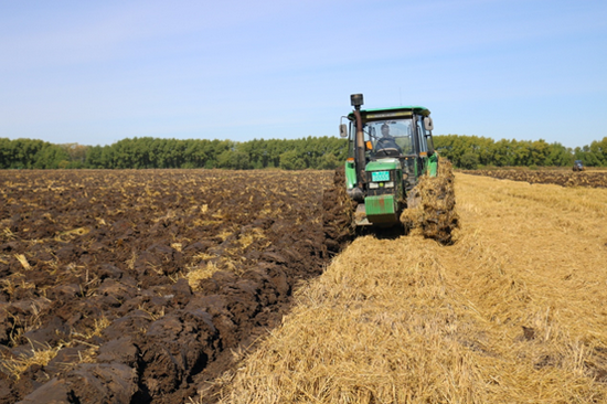 台大型水稻拾禾机正在水稻拾禾收获作业,紧接着种植户们趁着秸秆青绿