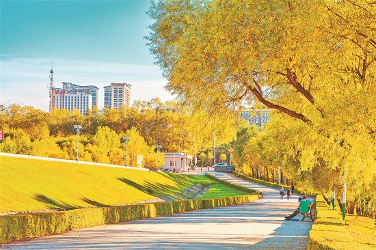 黑龍江七臺河創建國家森林城市進行時