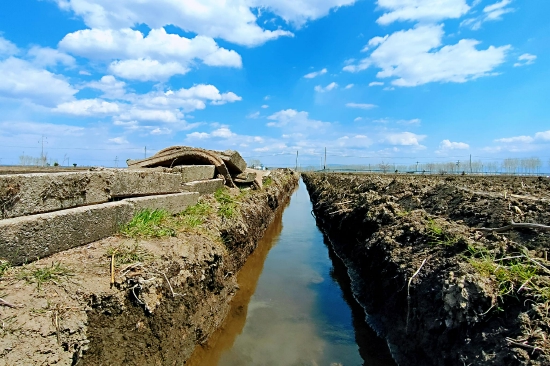 铁牛犁沃土稻农泡田忙延寿县加信镇水稻泡田整地现场见闻