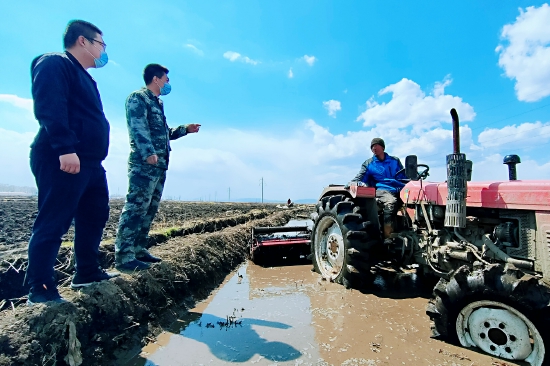 铁牛犁沃土稻农泡田忙延寿县加信镇水稻泡田整地现场见闻