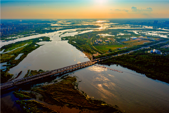 日】领略松江湿地绿色生态 感受大美道里壮丽画卷_新浪黑龙江_新浪网