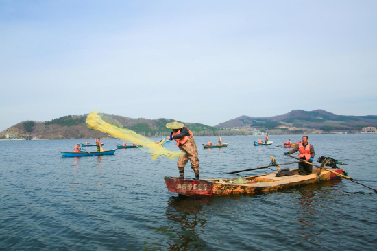 仙湖养鱼专业合作社的渔民在打鱼