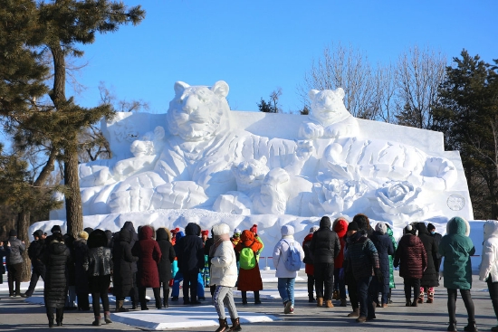 福虎迎春雪雕 摄影师 简约·如意