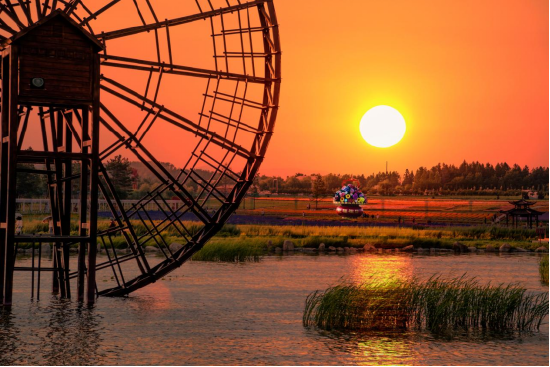 郊区大来镇达勒花海郊区莲江口镇万庆稻田公园