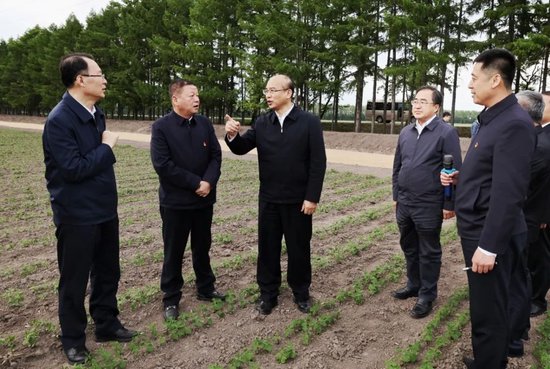 许勤在八五三农场第一管理区调研.